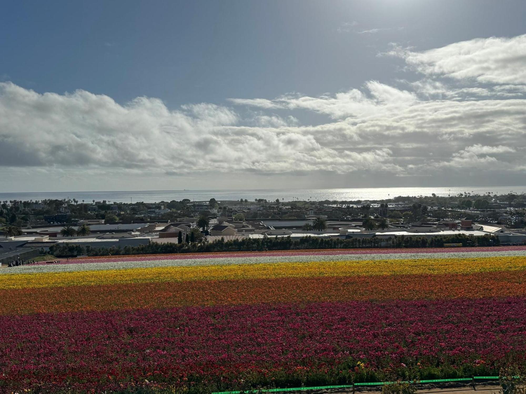 Holiday Inn Express Hotel & Suites Carlsbad Beach By Ihg Exterior foto